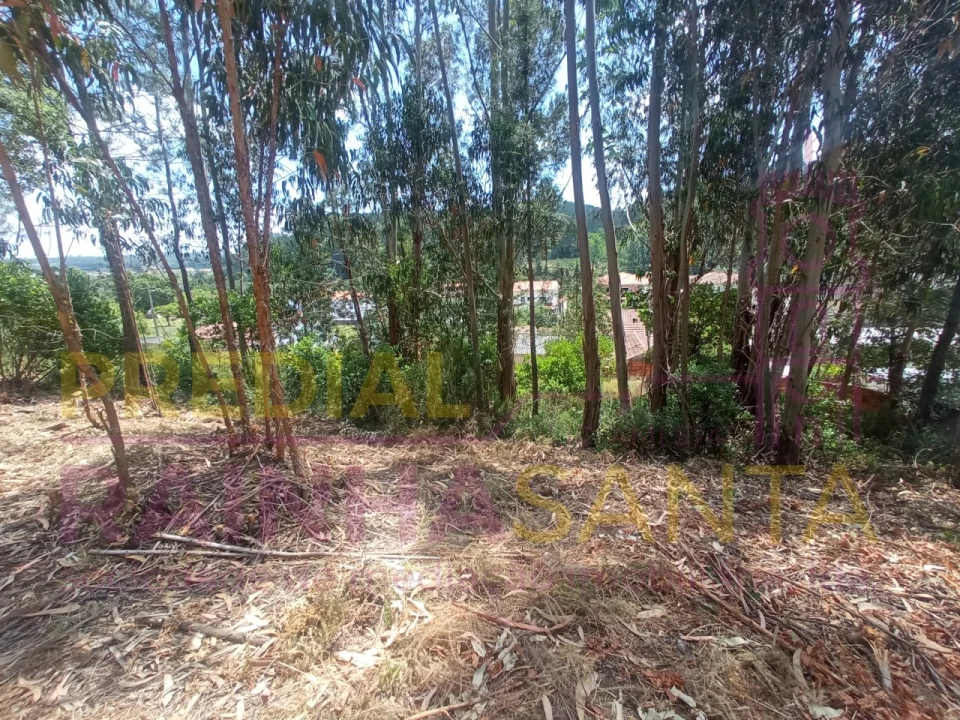 Terreno para Venda em Assafarge e Antanhol Foto 4