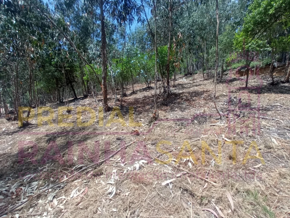 Terreno para Venda em Assafarge e Antanhol Foto 5