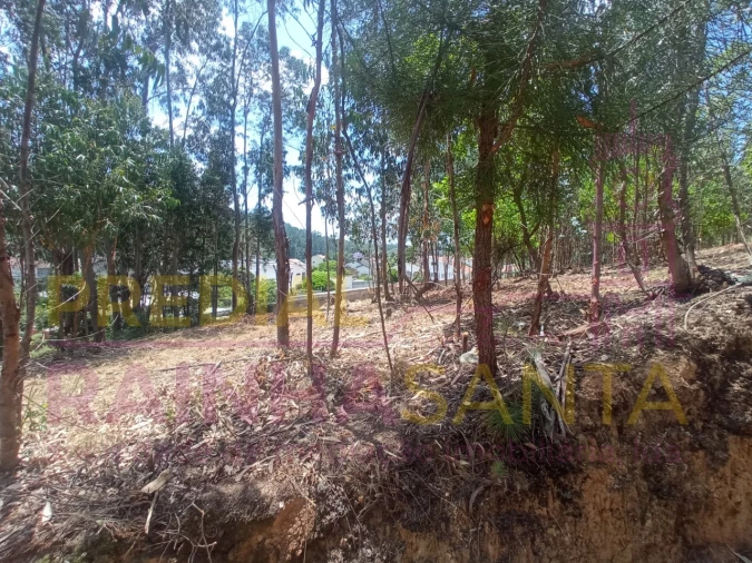Terreno para Venda em Assafarge e Antanhol Foto 6