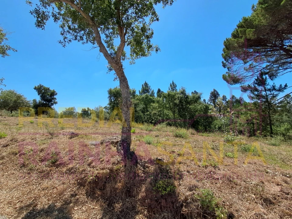 Terreno para Venda em Brasfemes Foto 8