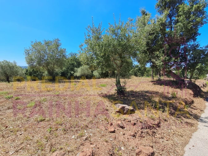 Terreno para Venda em Brasfemes Foto 2