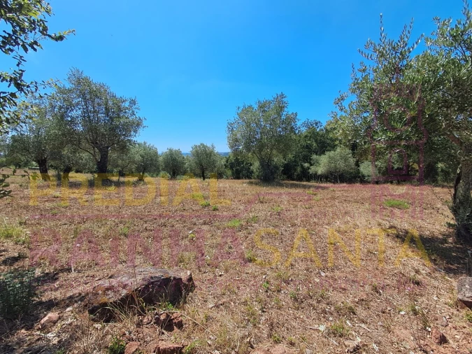 Terreno para Venda em Brasfemes Foto 6