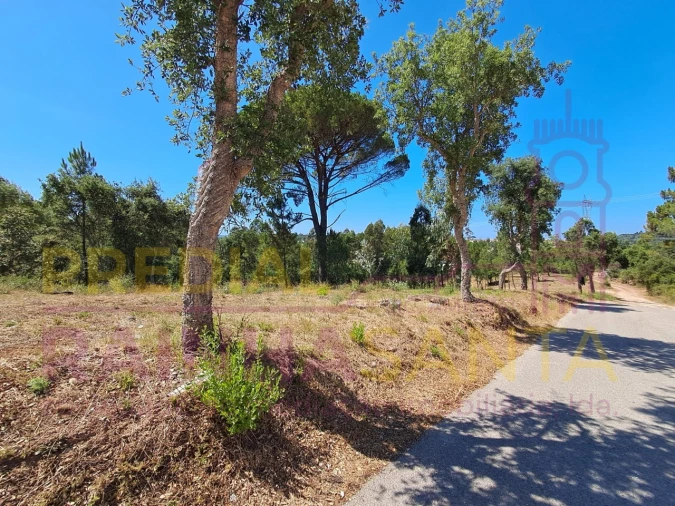 Terreno para Venda em Brasfemes Foto 1