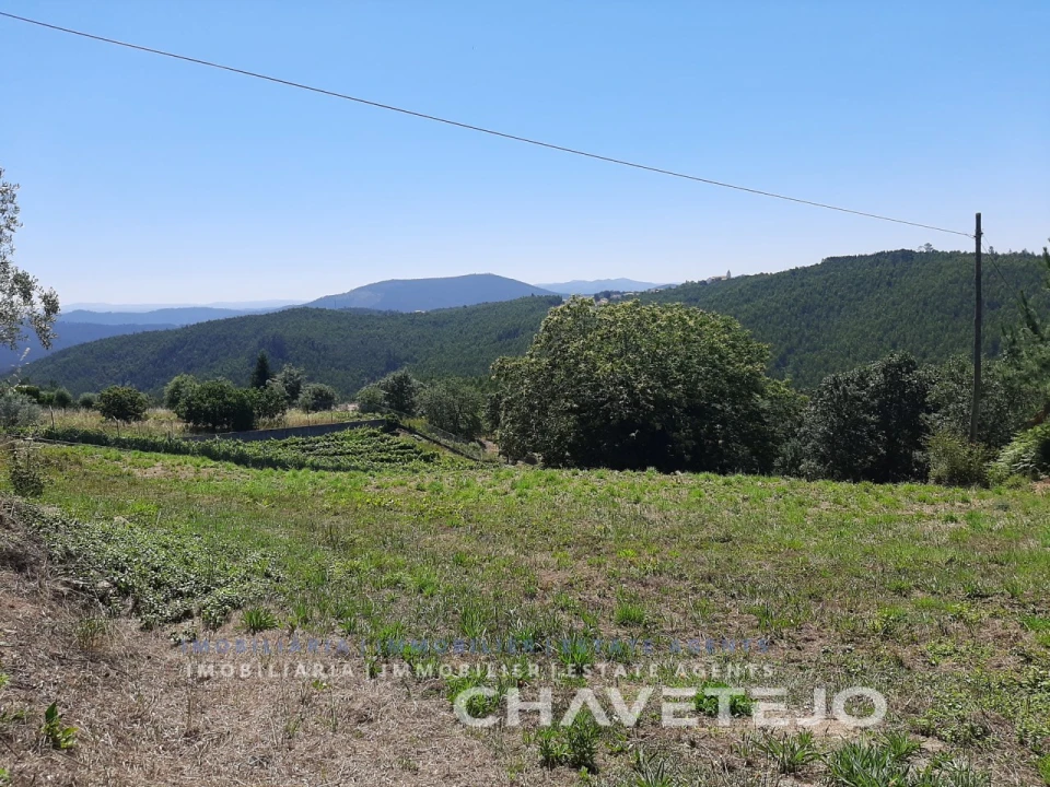 Terreno para Venda em Beco Foto 7