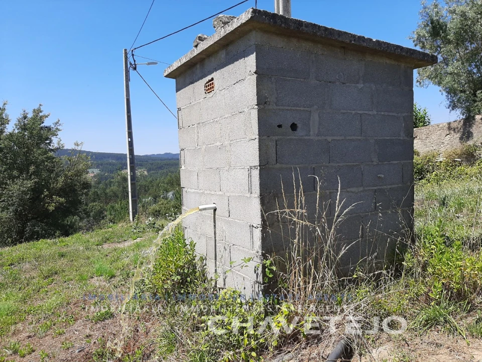 Terreno para Venda em Beco Foto 9