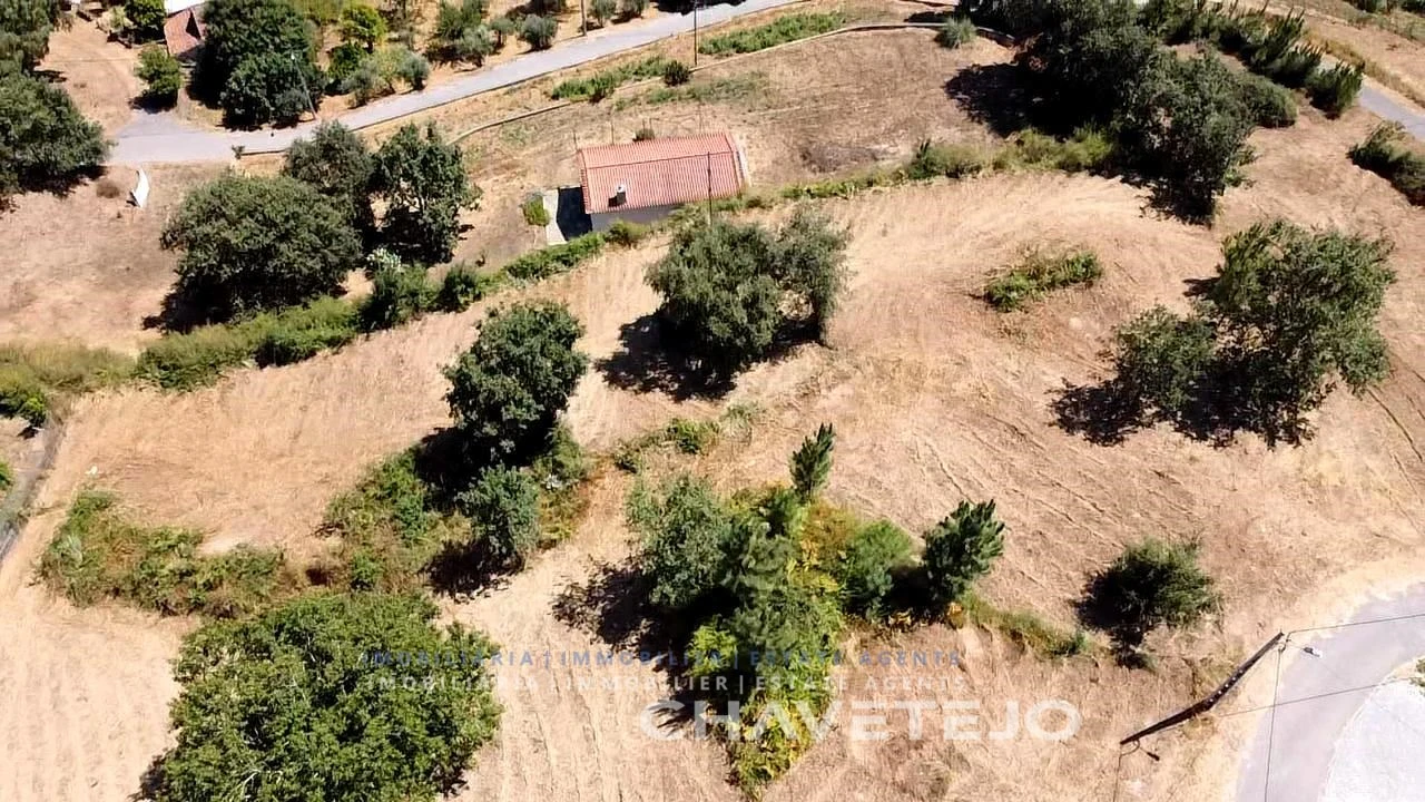 Terreno para Venda em Beco Foto 17