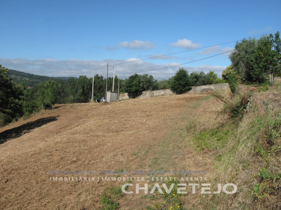 Terreno para Venda em Beco Foto 18