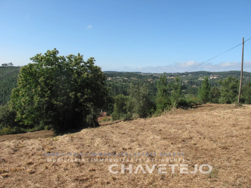 Terreno para Venda em Beco Foto 20