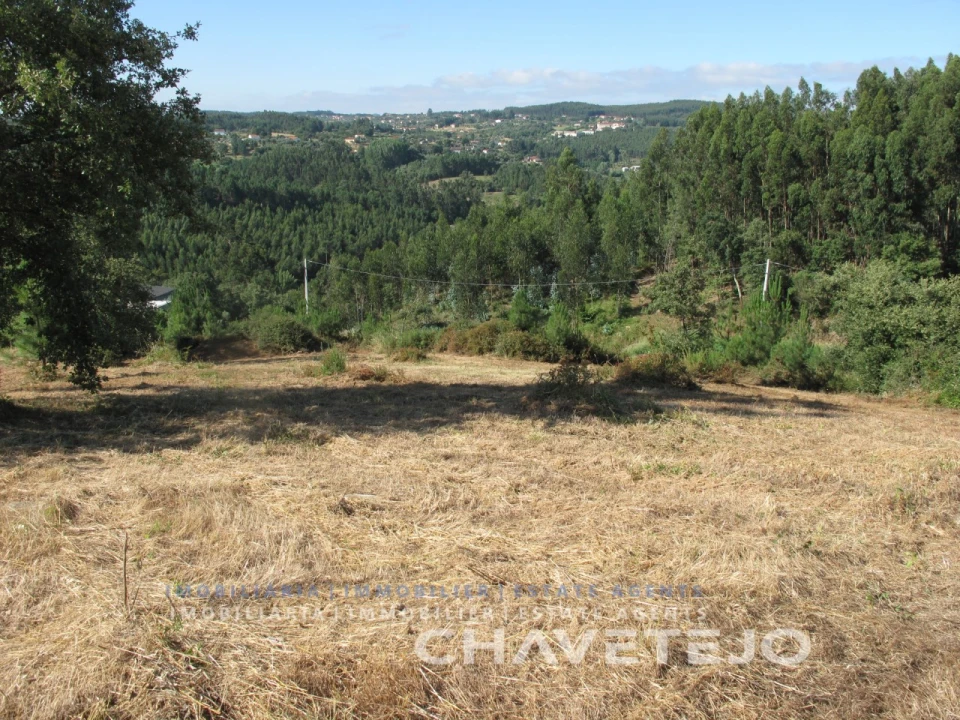 Terreno para Venda em Beco Foto 24