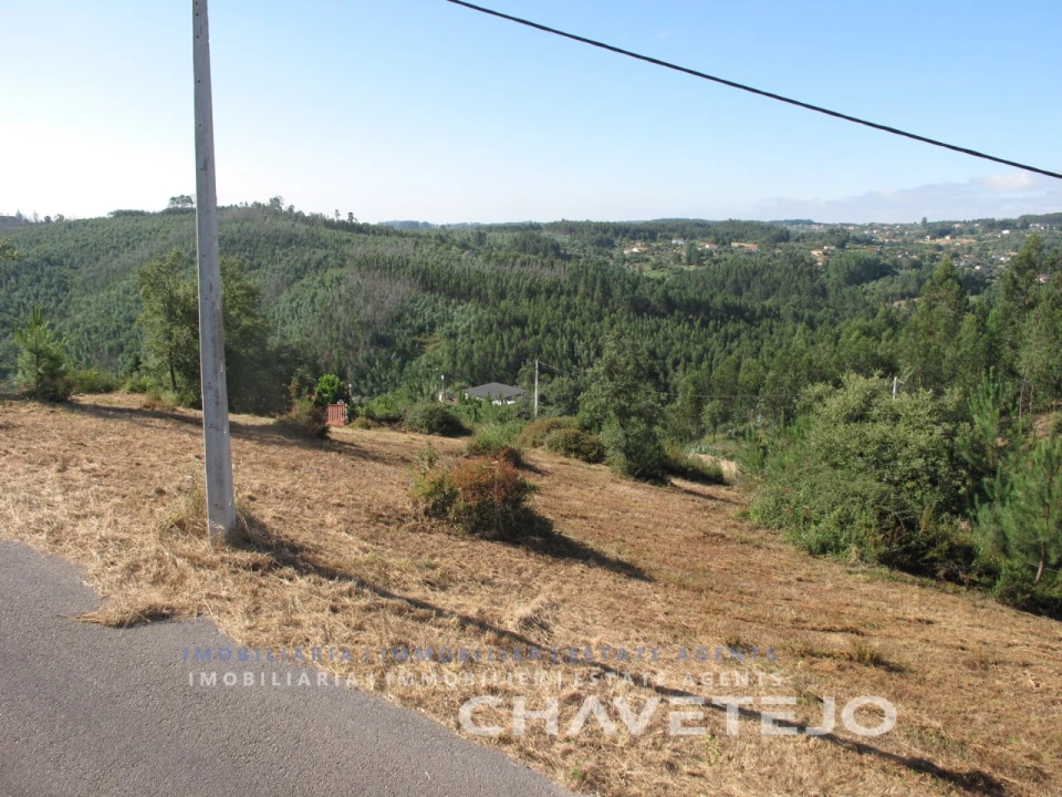 Terreno para Venda em Beco Foto 25