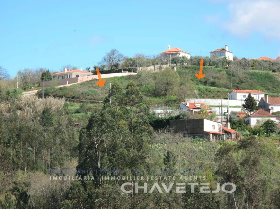 Terreno para Venda em Beco Foto 4