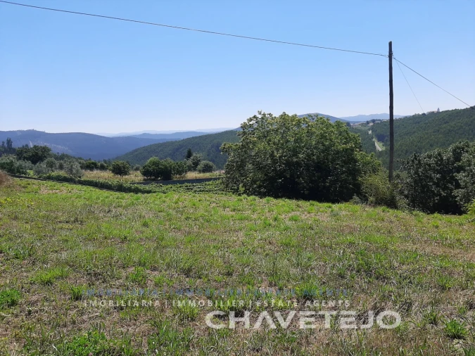 Terreno para Venda em Beco Foto 6