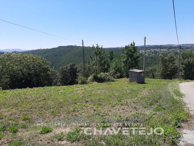 Terreno para Venda em Beco Foto 8
