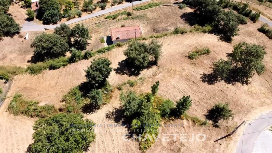 Terreno para Venda em Beco Foto 17