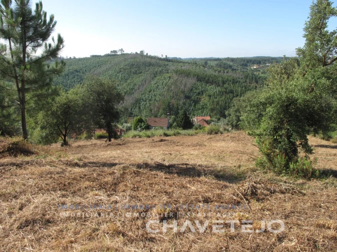 Terreno para Venda em Beco Foto 21
