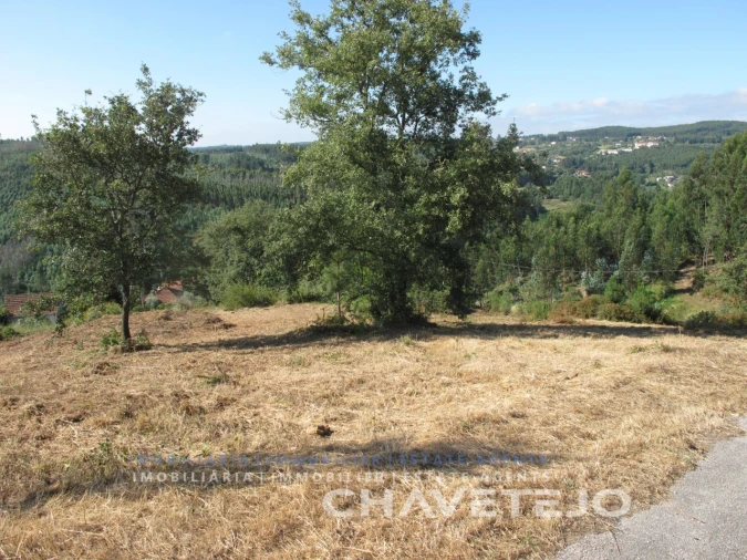 Terreno para Venda em Beco Foto 22