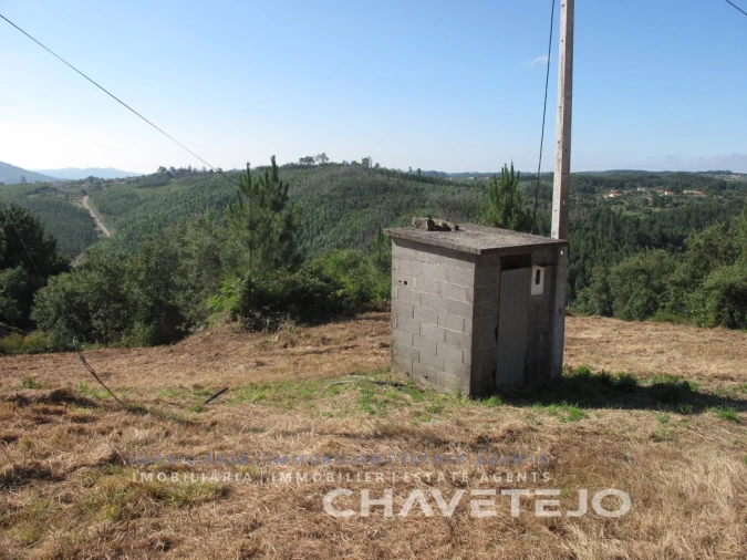 Terreno para Venda em Beco Foto 23
