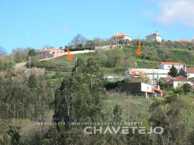 Terreno para Venda em Beco Foto 4