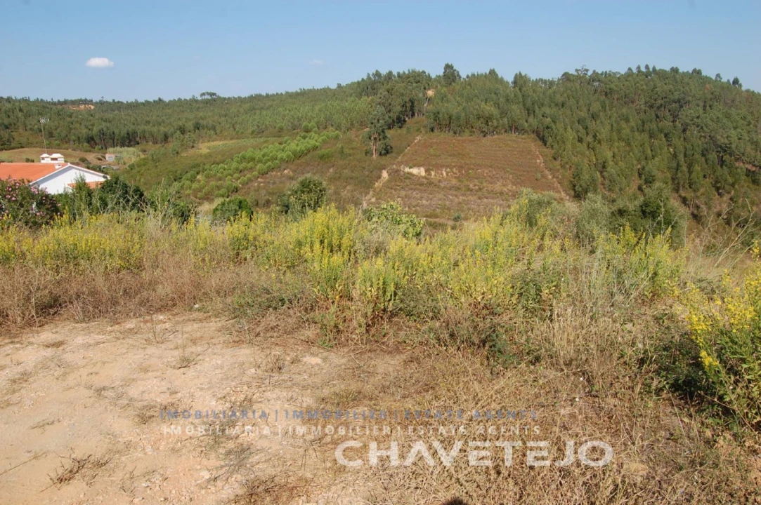 Terreno para Venda em São Pedro de Tomar Foto 5