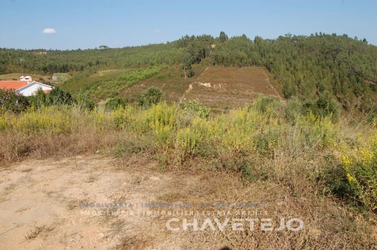 Terreno para Venda em São Pedro de Tomar Foto 5