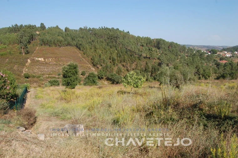 Terreno para Venda em São Pedro de Tomar Foto 7