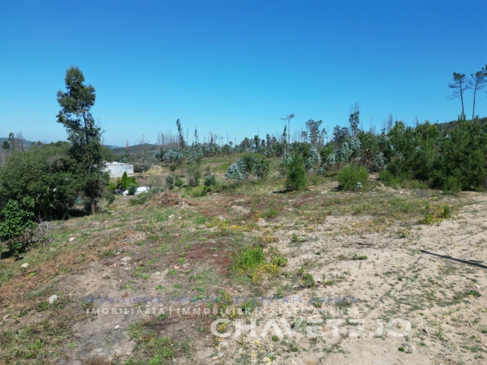 Terreno para Venda em Urqueira Foto 6