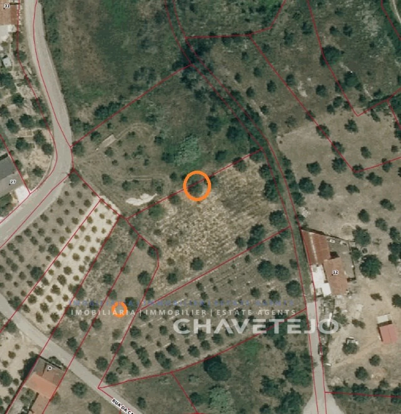 Terreno para Venda em Gondemaria e Olival Foto 1