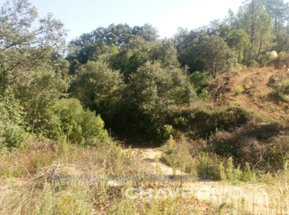 Terreno para Venda em Carregueiros Foto 1