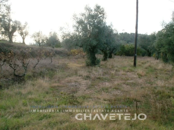 Terreno para Venda em Serra e Junceira Foto 2