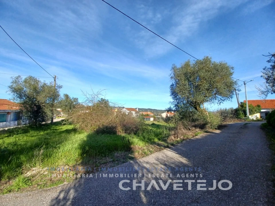 Terreno para Venda em Serra e Junceira Foto 4