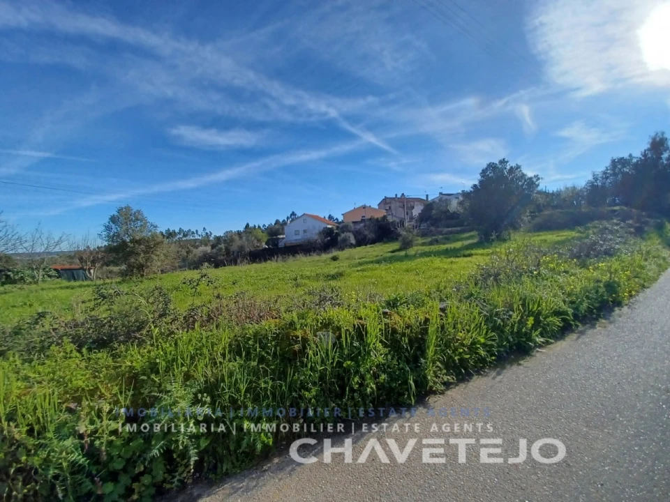 Terreno para Venda em Serra e Junceira Foto 6