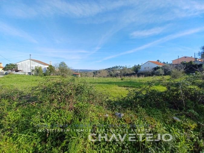 Terreno para Venda em Serra e Junceira Foto 7