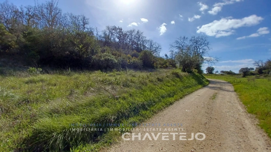 Terreno para Venda em Paialvo
