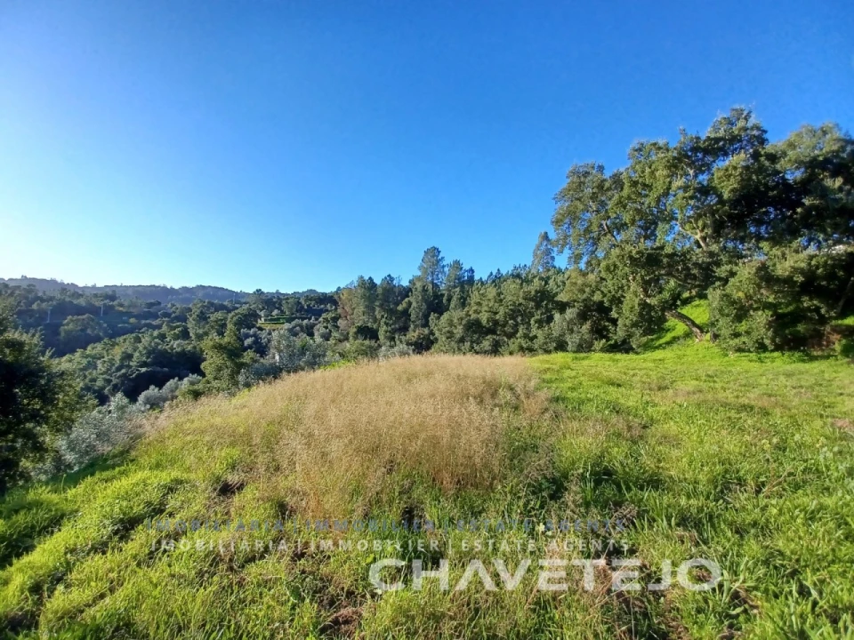 Terreno para Venda em Serra e Junceira Foto 7