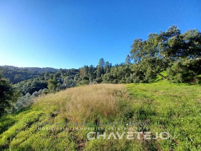 Terreno para Venda em Serra e Junceira Foto 7