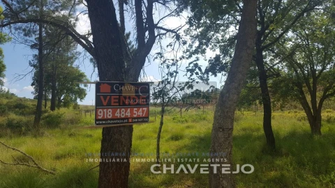 Terreno para Venda em São Pedro de Tomar