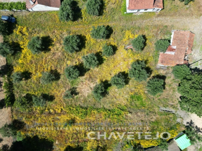 Terreno para Venda em Urqueira Foto 5