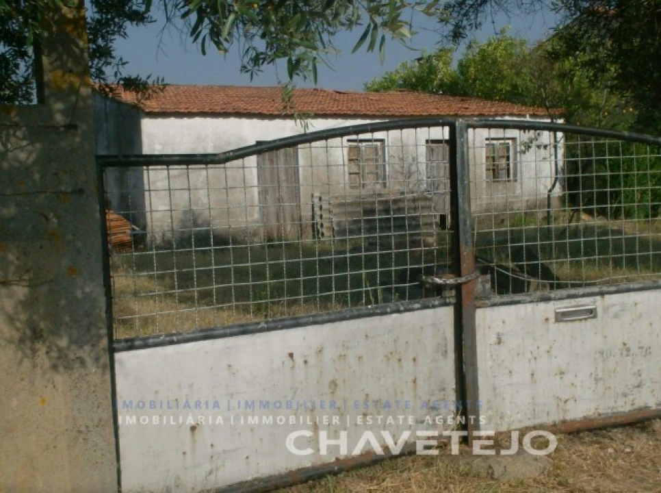 Terreno para Venda em São João Baptista e Santa Maria dos Olivais Foto 5
