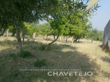 Terreno para Venda em São João Baptista e Santa Maria dos Olivais