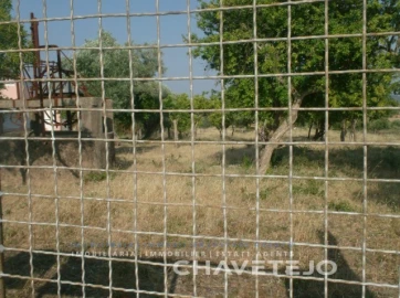 Terreno para Venda em São João Baptista e Santa Maria dos Olivais