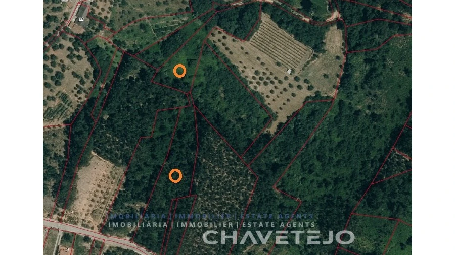 Terreno para Venda em Gondemaria e Olival