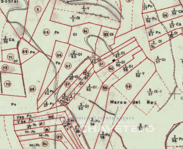 Terreno para Venda em Gondemaria e Olival Foto 2