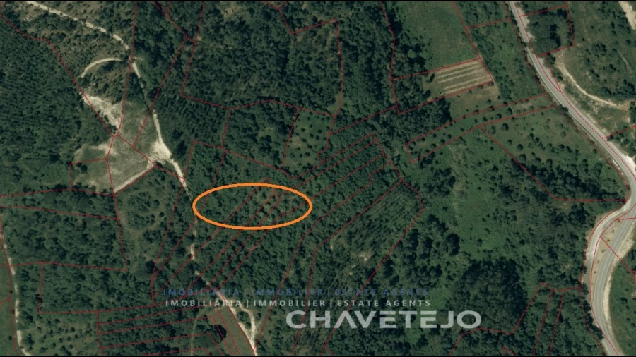 Terreno para Venda em Gondemaria e Olival
