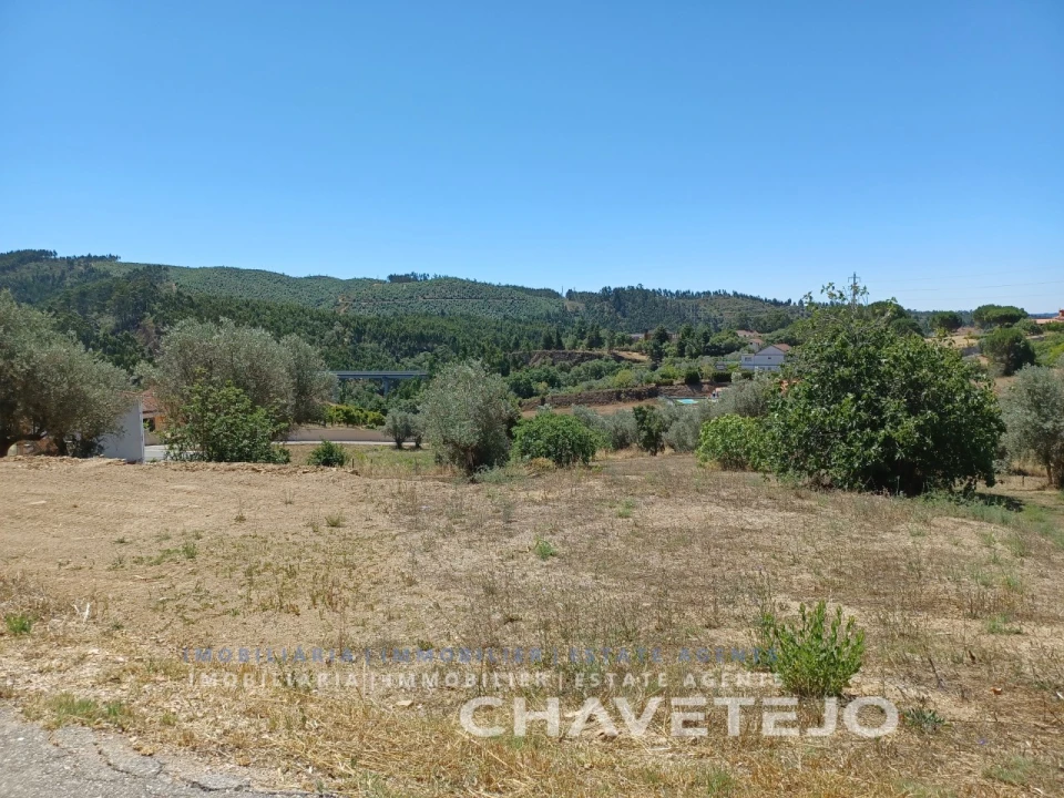 Terreno para Venda em Serra e Junceira Foto 5