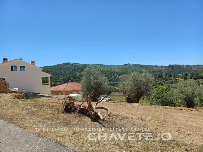 Terreno para Venda em Serra e Junceira Foto 3