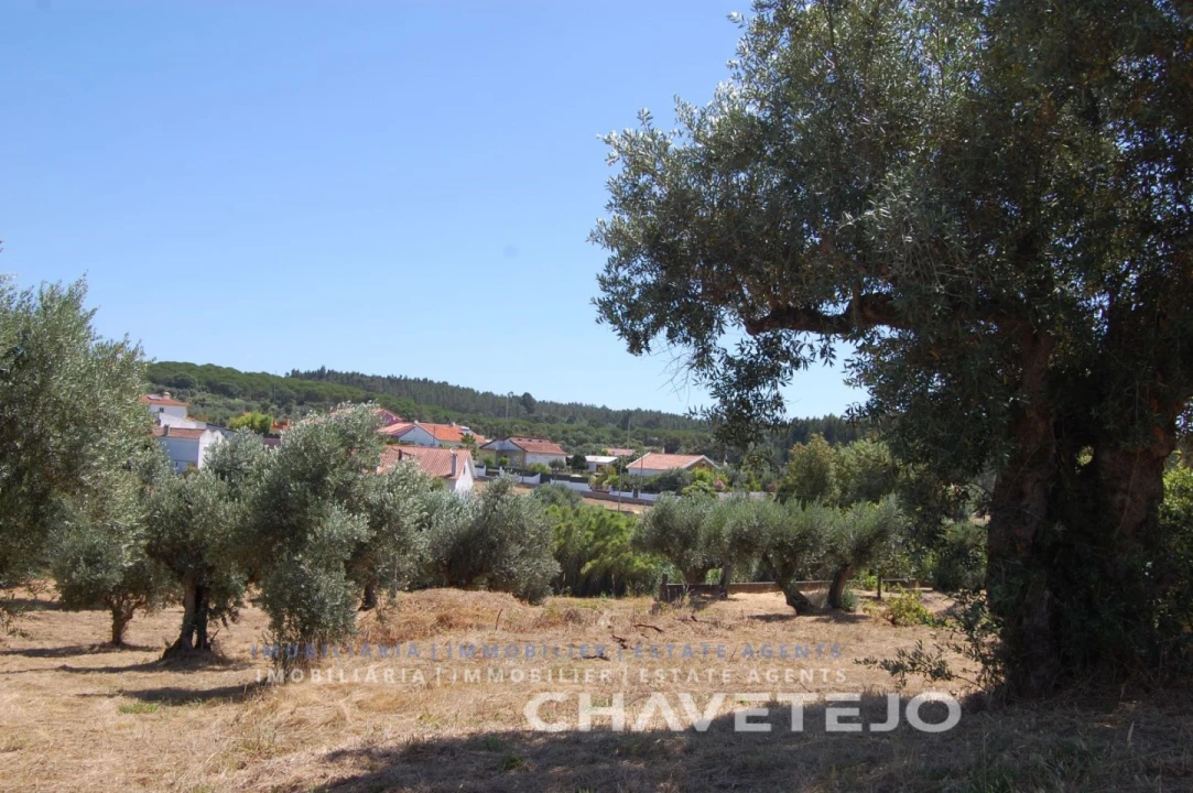 Terreno para Venda em Asseiceira Foto 7