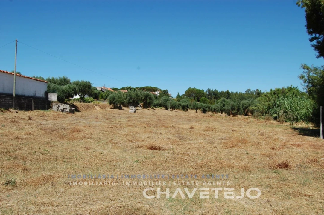 Terreno para Venda em Asseiceira Foto 8