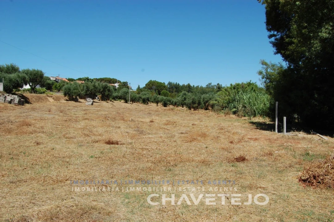 Terreno para Venda em Asseiceira Foto 9