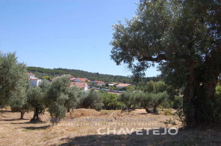Terreno para Venda em Asseiceira Foto 7