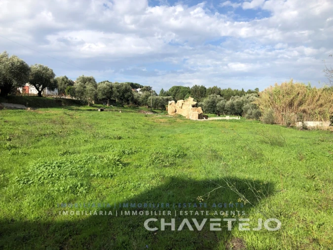 Terreno para Venda em Asseiceira Foto 1